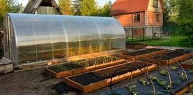 Теплица цена