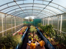 Теплицы от производителя